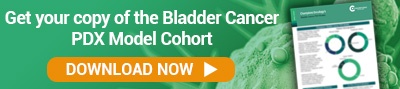 New call-to-action